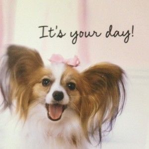 Meet your Posher, Nasrin